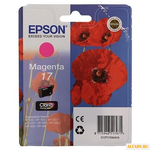 Картридж Epson C13T17034A10