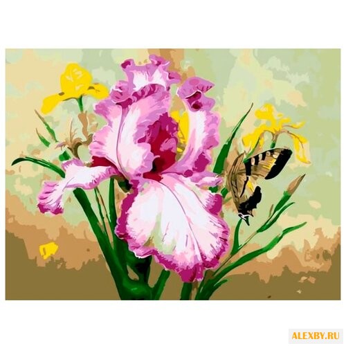 Цветной Картина по номерам Ирис