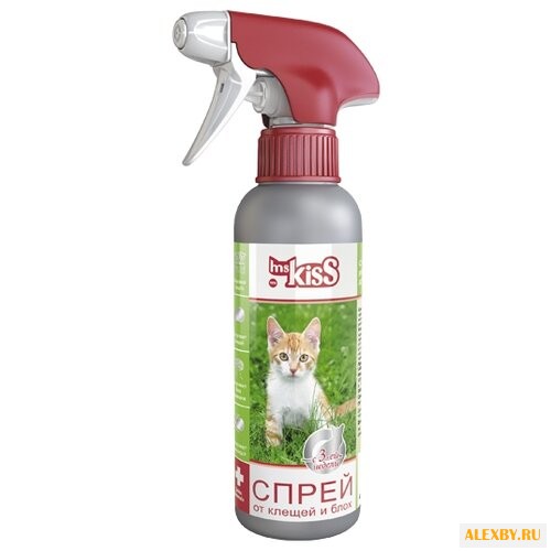 Ms.Kiss Спрей репеллентный для