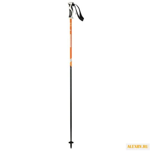 Палки для горных лыж Elan Hotrod