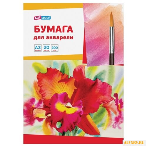 Папка для акварели ArtSpace