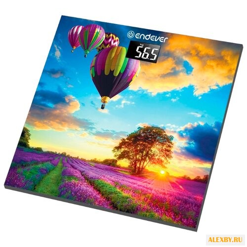 Весы ENDEVER Aurora-551