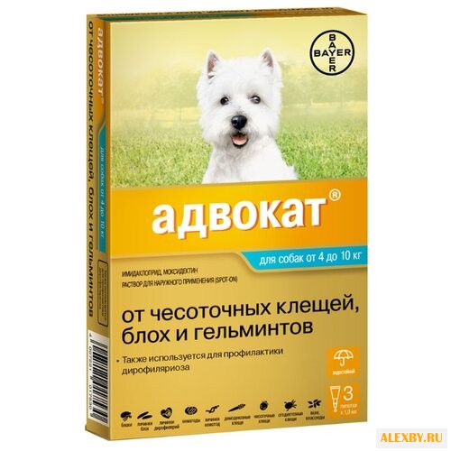 Адвокат Bayer Адвокат для собак