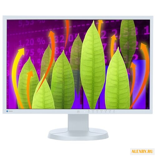 Монитор Eizo FlexScan EV2216WFS