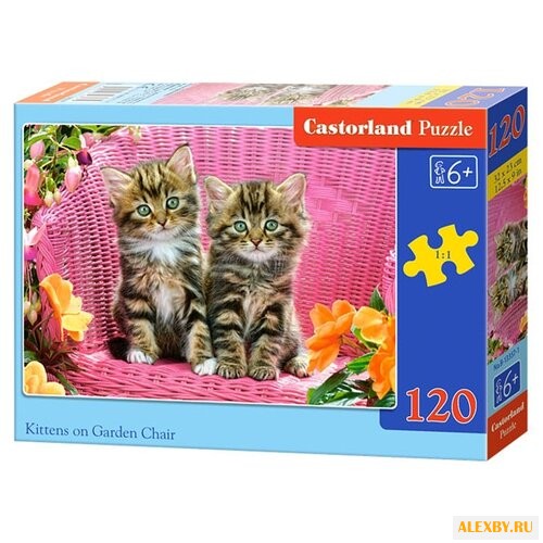 Пазл Castorland Kittens on