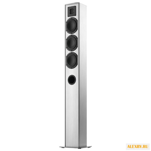 Акустическая система Piega