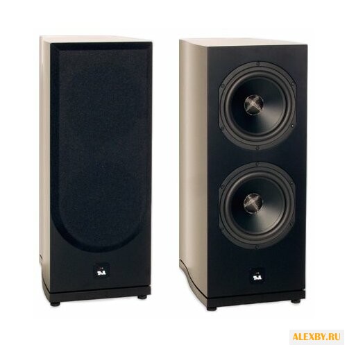 Сабвуфер T+A Criterion TW 600