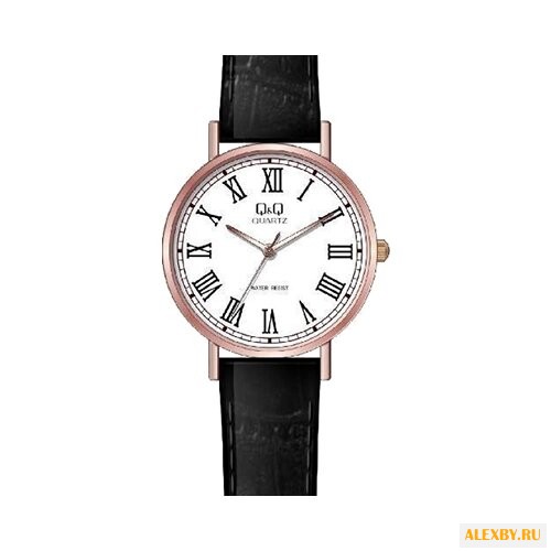 Наручные часы Q&Q Q979 J815