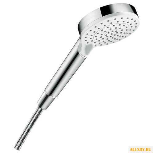 Лейка для душа Hansgrohe