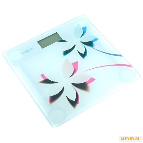 Весы ENDEVER FS-506