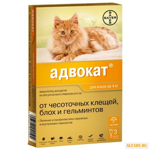 Адвокат Bayer Адвокат для котят