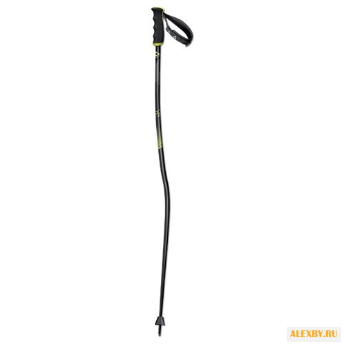 Палки для горных лыж Fischer