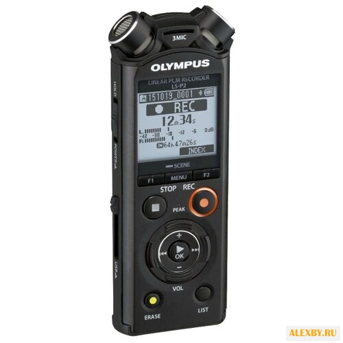 Портативный рекордер Olympus