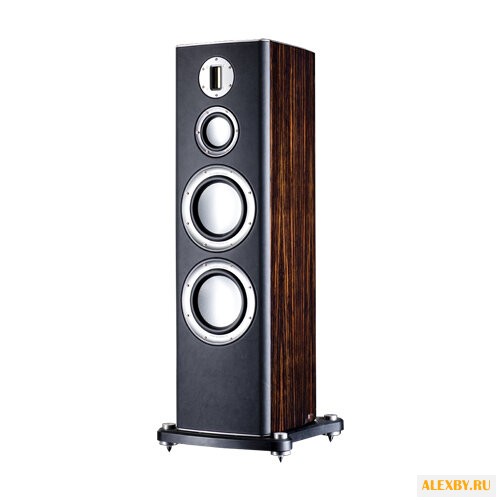 Акустическая система Monitor
