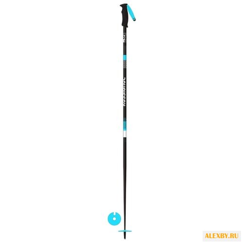 Палки для горных лыж Rossignol