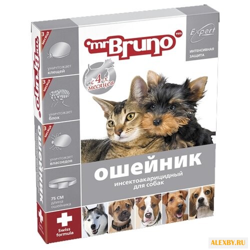 Mr.Bruno Ошейник