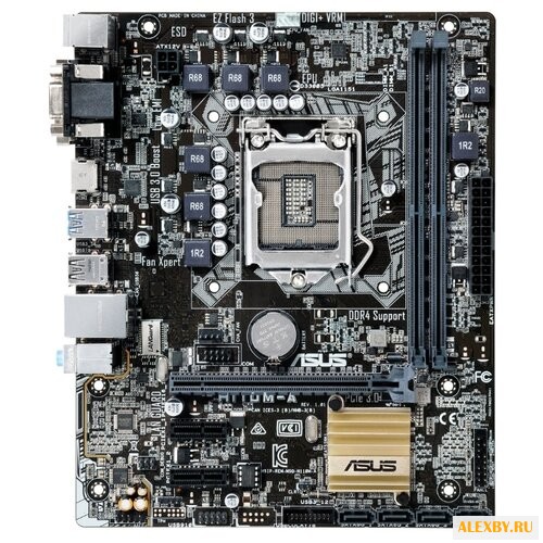 Материнская плата ASUS H110M-A