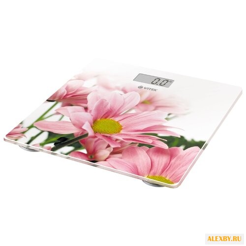 Весы VITEK VT-8051 W