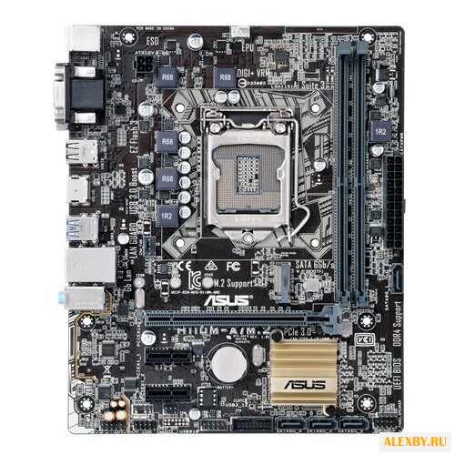 Материнская плата ASUS H110M-A