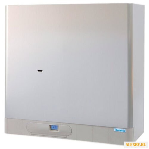 Газовый котел Thermona THERM 28
