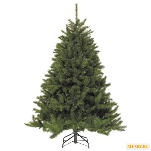 Triumph Tree Ель Лесная Красавица