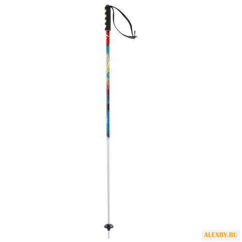 Палки для горных лыж HEAD Aero