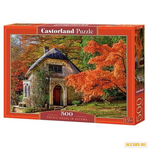 Пазл Castorland Gothic House in