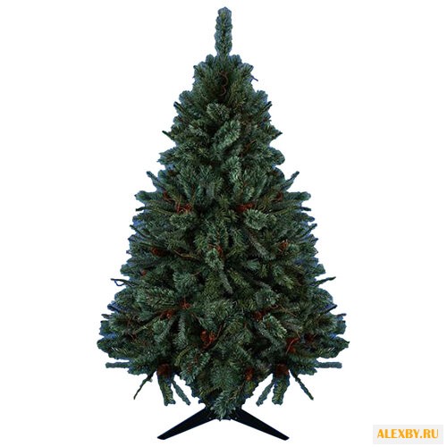 Царь елка Ель Кристальная