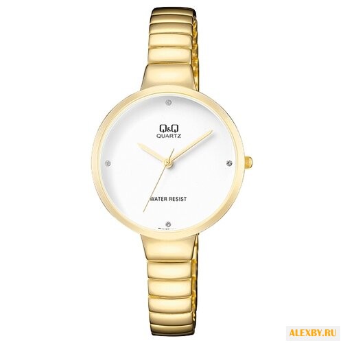 Наручные часы Q&Q F611-001