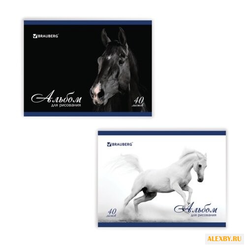Альбом для рисования BRAUBERG