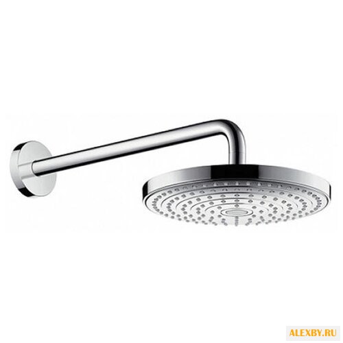 Верхний душ Hansgrohe Raindance