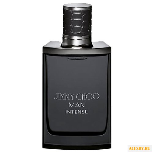 Jimmy Choo Man Intense