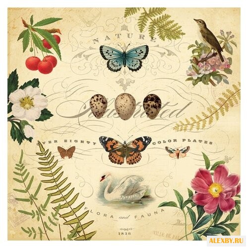 Бумага K&Company 31х31 см 12