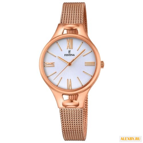 Наручные часы FESTINA F16952 1