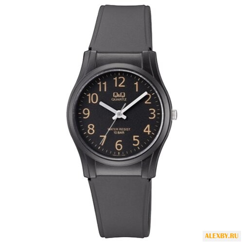 Наручные часы Q&Q VQ02 J012