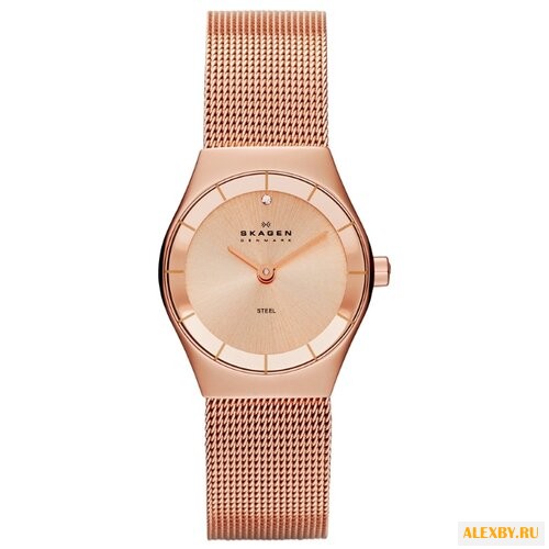 Наручные часы SKAGEN SKW2046