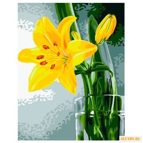 Цветной Картина по номерам