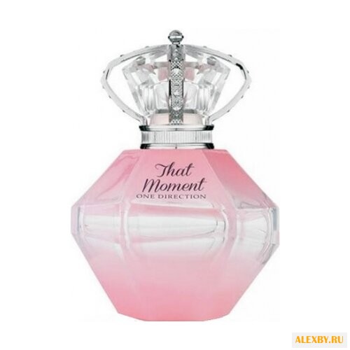 One Direction That Moment