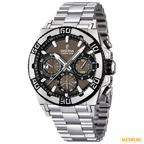 Наручные часы FESTINA F16658 4