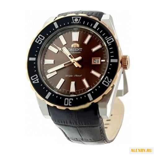 Наручные часы ORIENT AC09002T