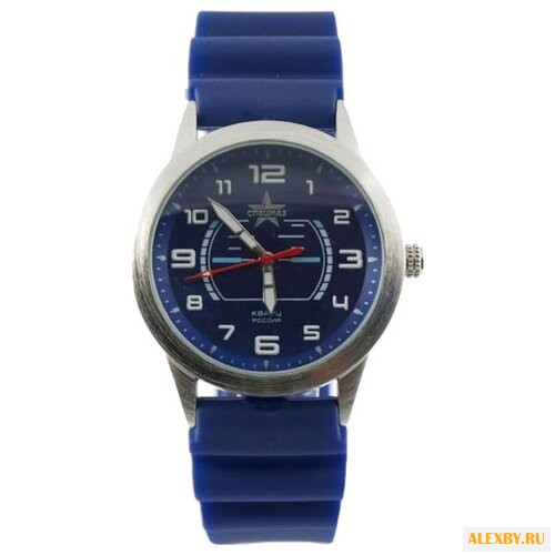 Наручные часы СПЕЦНАЗ С2031243-08