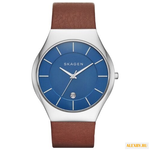 Наручные часы SKAGEN SKW6160