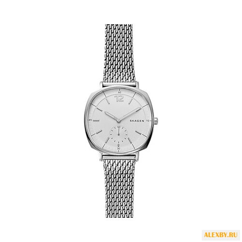 Наручные часы SKAGEN SKW2402