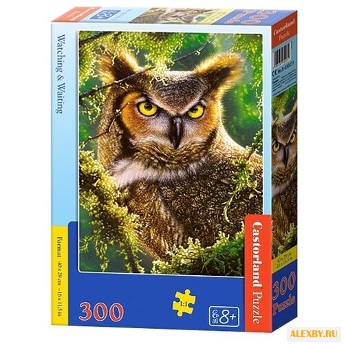 Пазл Castorland Watching &