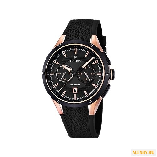 Наручные часы FESTINA F16831 2