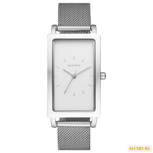 Наручные часы SKAGEN SKW2463