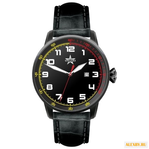 Наручные часы СПЕЦНАЗ С2874335-05