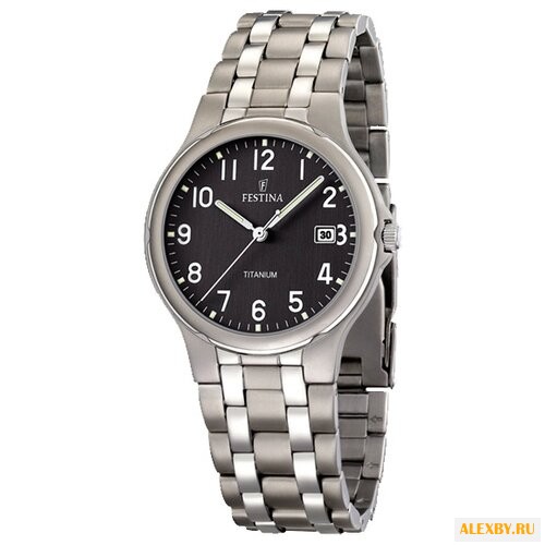 Наручные часы FESTINA F16460 3