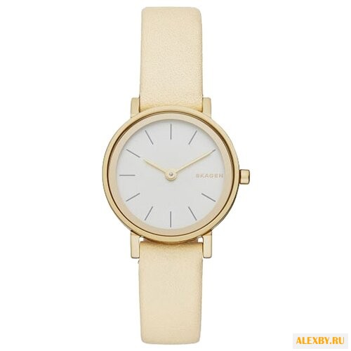 Наручные часы SKAGEN SKW2444