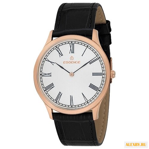 Наручные часы ESSENCE